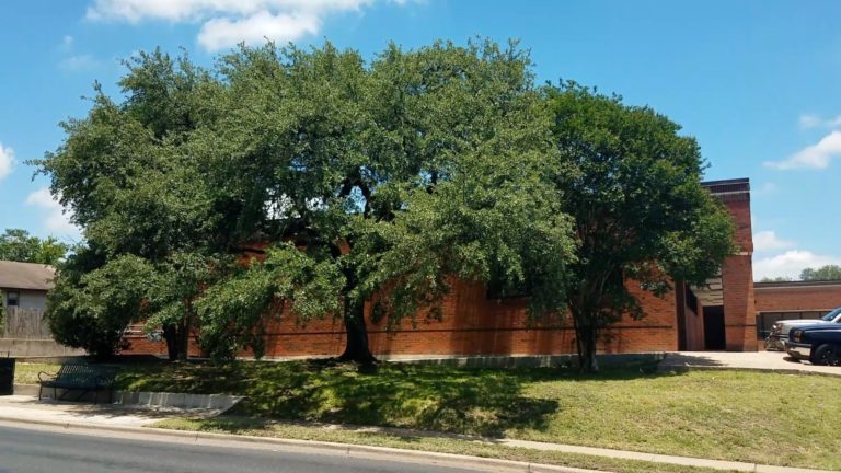 attachment-595a90f7b8a79bb235e6feef